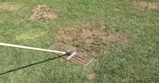 The number of rake tines would depend on the dimensions of your rake and your area landscape. 8 Best Lawn Leveling Rakes In 2021 Reviews Leveling Guide