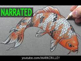 How To Draw A Fish Koi Narrated Step By Step Youtube How to draw a fish.