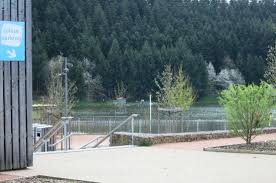 Piscine Naturelle Photo De Lac Des Sapins Cublize Tripadvisor