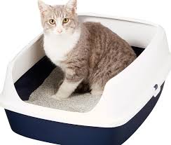 Kedi Tuvalet Kabi Temizligi Neden Onemli Juen Pet Market Blog