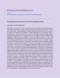 Essay Example About Construction Essay Examples Essay Structure And Function