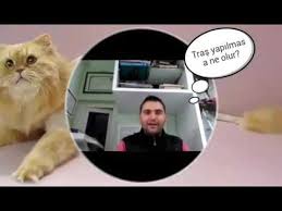 Kedi Ve Kopeklerde Tras Neden Yapilir Youtube