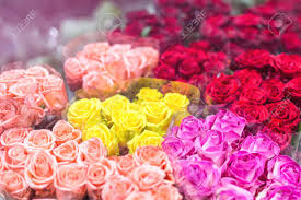 Whole blossoms provides fresh flowers farm direct, including roses, hydrangea, peonies, succulents, orchid, lily, tulips, and more. Bouquets Of Multiclored Roses Fresh Flower Background Florist Service Wedding Present Wholesale Flower Shop Flower Storage And Warehouse Stock Photo Picture And Royalty Free Image Image 96048300