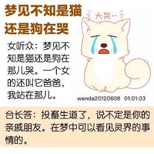 pin by 张小瑞on 师父解梦 bsl 18th