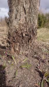 Image result for site:byggahus.se omvärdera