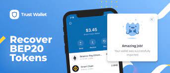 How To Recover Bep20 Tokens Sent To A Non Custodial Wallet Troubleshooting Trust Wallet