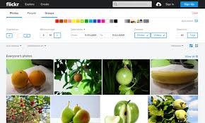 Return a list of photos matching some criteria. 7 The Flickr Com Image Search Is An Example For The Search Centric Download Scientific Diagram