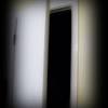 Shop 20 inch 6 panel door at bellacor. Https Encrypted Tbn0 Gstatic Com Images Q Tbn And9gcr8t2xjxyqxsshlynomurex2ogtwundlbk8b8vcyoy Usqp Cau