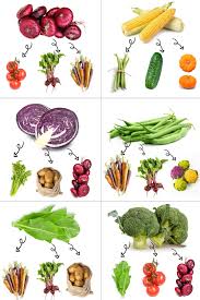 Companion Planting for Higher Yields and Healthier Gardens (2023)