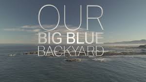 A short video review of big blue backyard. Our Big Blue Backyard Tv Series 2014 Imdb