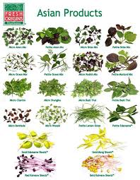Asian Style Herbs Greens Fresh Origins Microgreens Chicharos