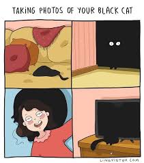 Blob Of Darkness Visit Our Online Shop Lingvistov Com Funny Illustration Doodle Drawing Cute Quotes Black Cat Humor Black Cat Drawing Black Cat Comics