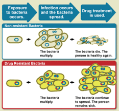 Isolates were only included in the comparison if they were predicted to contain the arc. Antimicrobial Resistance Wikipedia