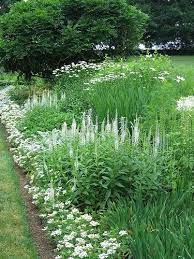 Green And White White Gardens Moon Garden White Flower Farm
