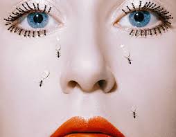 Self Taught Projekte :: Photos, videos, logos, illustrations and branding  :: Behance