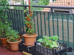 A balcony garden idea with lots and lots of potted plants. Balcony Vegetable Garden Growing A Vegetable Garden On A Balcony