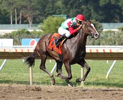 FTBOA Member Spotlight: Joe Imbesi