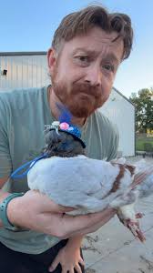 2026: The Year of the Pigeon