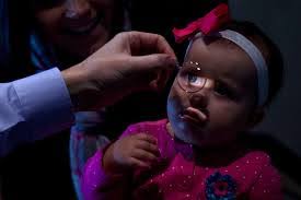 Reagan Otto's Instagram, Twitter & Facebook