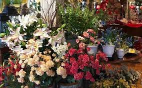 Farm fresh floral is located at 4501 john tyler hwy, williamsburg va 23188. Seasons Of Williamsburg