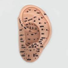 Migräne, schlaflosigkeit, depression, suchtkrankheiten, verdauungsprobleme, vegetative. 13 Cm Meridian Ohr Massage Akupunktur Modell Ohr Reflexion Bereich Modell Massage Ohr Modell Akupunktur Massage Lehre Liefert Medical Science Aliexpress