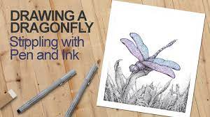 If you have a ballpoint pen (and, really, who doesnt?) youre ready to delve into the world of how to draw with a ballpoi. Drawing A Dragonfly Stippling With Pen And Ink