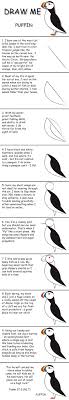 Marty Nystrom Author Poet And Songwriter Bird Drawings Draw Puffin