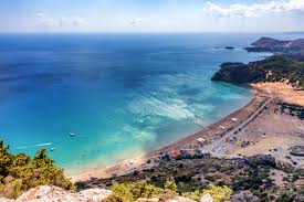 Image result for Thamnosma rhodesica