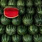 Watermelon Festival