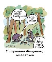Hein De Kort Grappige Plaatjes Grappig Humor Grappig