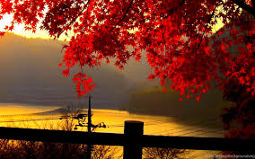 Maybe you would like to learn more about one of these? Autumn Wallpaper Backgrounds High Definition 554 Seo Wallpapers Desktop Background