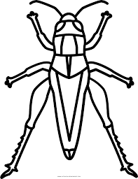 You can search several different ways, depending on what information you have available to enter in the site's search bar. Grasshopper Coloring Page Ultra Coloring Pages