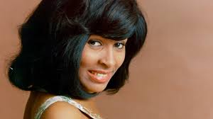 La turbulenta vida de los hijos de Tina Turner