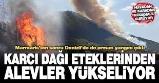 😉😉 bekliyorum #ağaç #su #kanald 🌲🌲🌲🌲. Denizlihaber Com Denizli Haberleri Goveclik Sirtinda Orman Yangini Cikti Denizlihaber Com Denizli Haber Denizli Nin En Cok Okunan Gazetesi