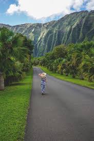 Hawaii tropical botanical garden has over 2,000 species of plants all of which are stunningly beautiful, unique, and colorful. Hawaii Highlights Und Tipps Fur Big Island Maui Oahu