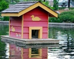 We have a small lake with wild mallard ducks and the local cats terrorize their chicks, so i'm building a floating duck house. 43 Free Diy Duck Coop Plans Duck Houses Plans For Enthusiasts