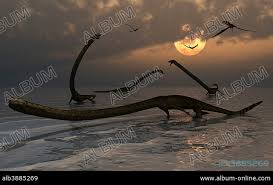 Image result for Tanystropheus