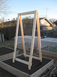 A trellis, whether for climbing vegetables or flowering vines, is a great addition to any outdoor space. Diy A Frame Veggie Trellis Finegardening