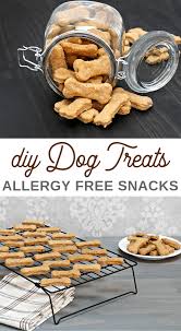 Add in milk and water, stirring until dough is formed. Diy Dog Treats From Leftovers 2 Recipes 3 Boys And A Dog
