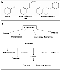 Check spelling or type a new query. Ijms Free Full Text Gut Fermentation Of Dietary Fibres Physico Chemistry Of Plant Cell Walls And Implications For Health