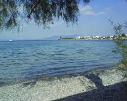 Οι ύποπτες κινήσεις του είχαν ήδη παραξενέψει κάποιους λουόμενους οι οποίοι άρχισαν να τον παρατηρούν. Kalamos Agioi Apostoloi