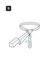 The only materials you need are a collared shirt and a tie! How To Tie A Half Windsor Knot Ties Com