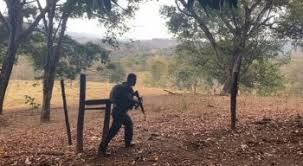 Polícia encontra carta deixada por lázaro, serial killer. Lazaro Barbosa Segunda Feira Comeca Com Denuncia De Esconderijo Na Mata Veja Tudo Sobre 13Âº Dia De Buscas Ao Serial Killer Radio Jornal