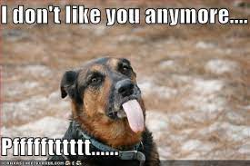 11 I Dont Like You Memes Funny Factory Memes