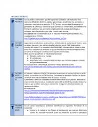 Cuándo hacer un análisis pestel. Matriz Pestel Tareas Angeli14
