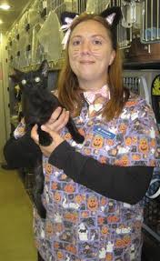 Cat animal black pet kitten halloween feline witch kitty. No Trick Peta Fixes Black Cats For Free Peta