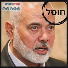 קורה בכנרת‎ (@kore_bakineret) • Instagram photos and videos