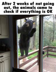 Pin On Mood Memes