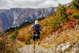 A chacun ensuite de le moduler à sa convenance en fonction de son niveau, de ses. Plan D Entrainement Ultra Trail Sur 12 Semaines Lepape Info