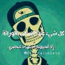 ههههههه آآه والله Laughing Quotes Jokes Quotes Arabic Funny
